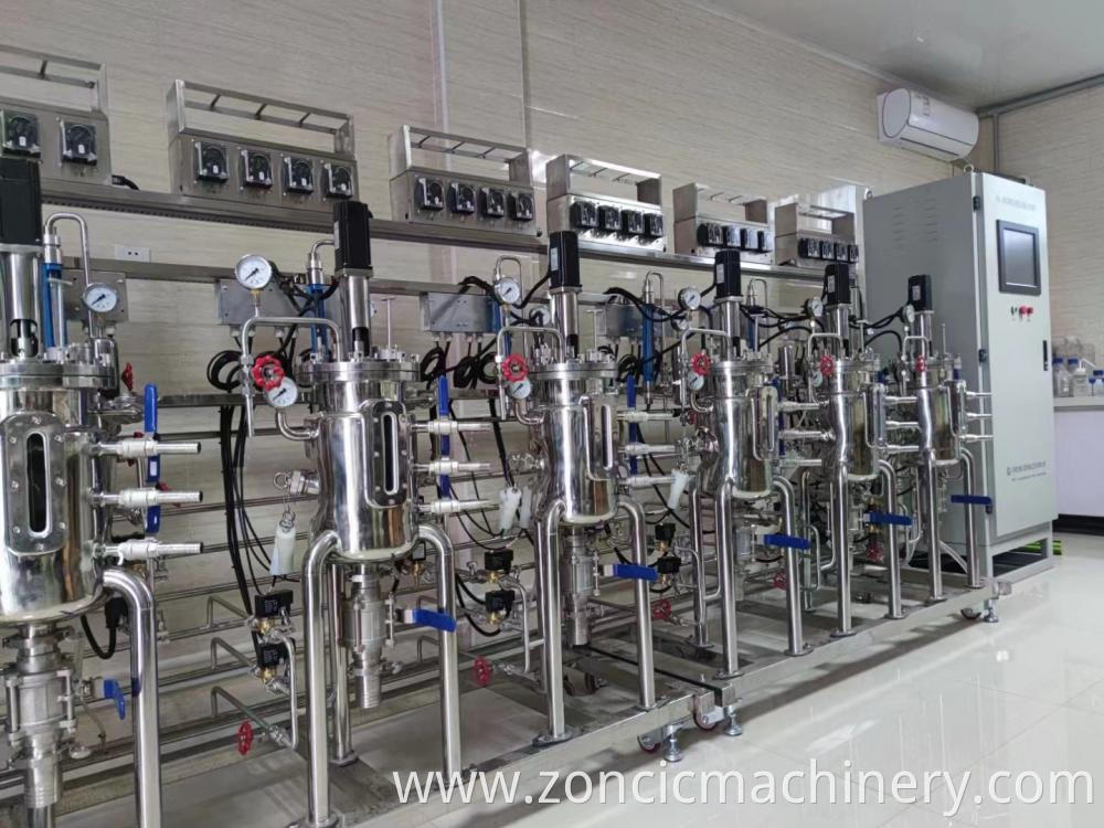 Lab Stainless Steel Bioreactor